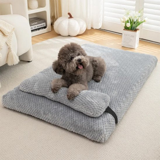 Dog bed | Orthopaedic