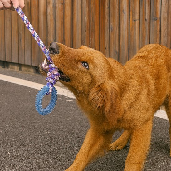 Dog toy | Durable Interactive