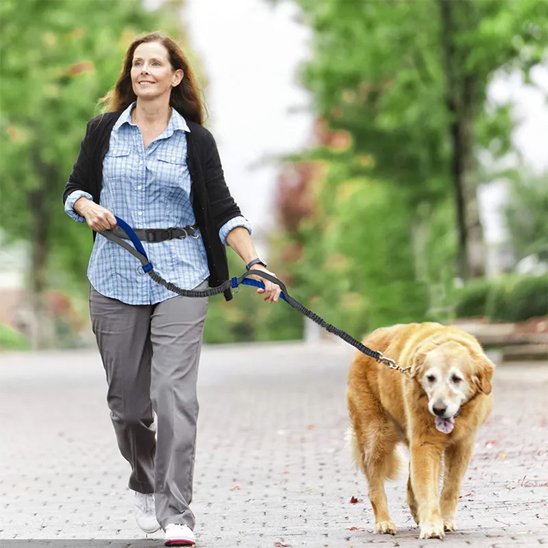 Canicross leash | Premium Run