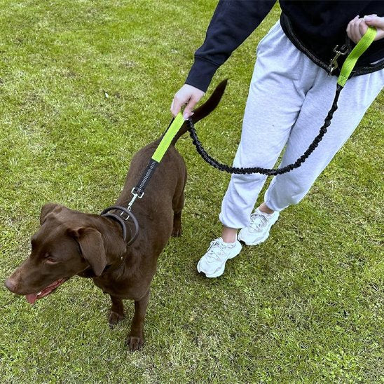 Canicross leash | Premium Run