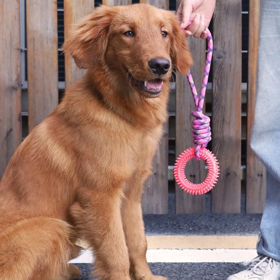 Dog toy | Durable Interactive