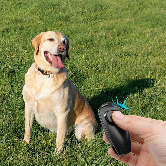 Dog clicker | Professional