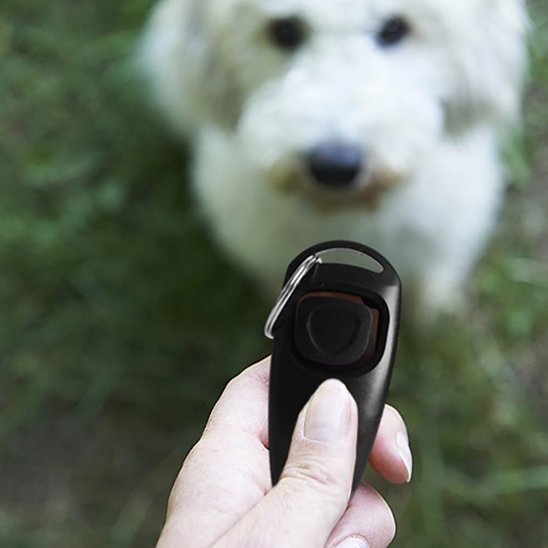 Dog clicker | Professional