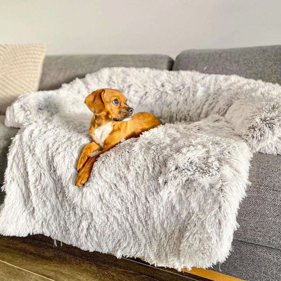Orthopaedic dog bed | ComfortCanin